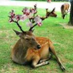 新事務所と工場の様子季節は春へ。新オフィス稼働とクリーンルームダクト製作中！新事務所と工場の様子