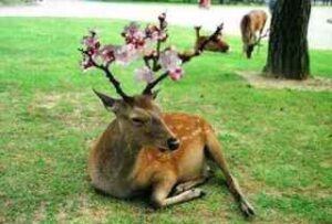 新事務所と工場の様子季節は春へ。新オフィス稼働とクリーンルームダクト製作中!新事務所と工場の様子