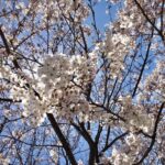 竣工式創業63年、皆さまと共に──新事務所竣工のご挨拶竣工式