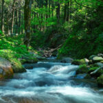 工場の様子と施工事例猛暑の兆しと、焼肉の煙対策。真鍮傘で快適な店内へ工場の様子と施工事例