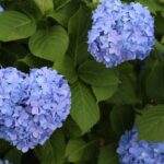 現場施工事例梅雨の準備は“快適な空間”から！ファンモーター交換事例をご紹介現場施工事例