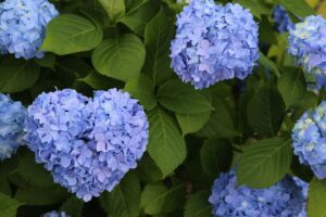 現場施工事例梅雨の準備は“快適な空間”から!ファンモーター交換事例をご紹介現場施工事例