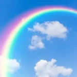 ありがとう、チャッピー。たくさんの思い出を胸に。