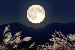 秋の夜長に思うことー冷気改善後の結露対策を行いました