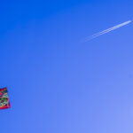 ２０２３年も宜しくお願いします