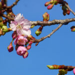 春の訪れとともに――事務所整備と新たな現場準備の様子