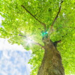 5月のはじまりに――旧事務所の記憶と、変わらぬ想い