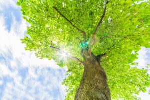 5月のはじまりに――旧事務所の記憶と、変わらぬ想い