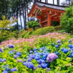 一年の折り返しに想う――安全対策と働き方改革への取り組み