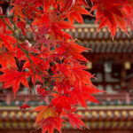 年末に向けて――工場改装の進捗と業務再開のお知らせ