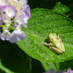 見えないところに落とし穴。梅雨時の“ダクト劣化”に要注意