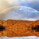 忙しさを前向きに変える、私たちの歩み