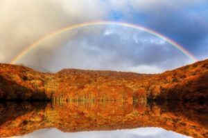 忙しさを前向きに変える、私たちの歩み